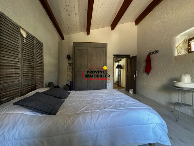 Magnifique Maison de Charme en pierres