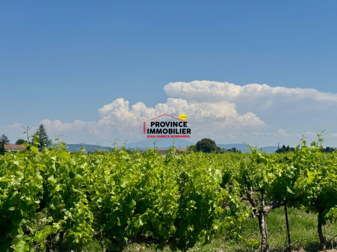 Maison de campagne avec vue