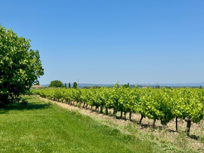 Maison de campagne avec vue