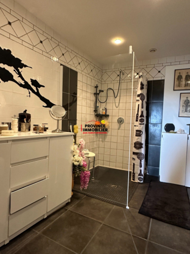Lumineux Appartement, coeur de village