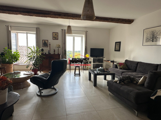 Lumineux Appartement, coeur de village