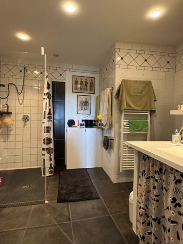 Lumineux Appartement, coeur de village