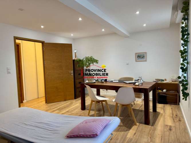 Bel appartement T3 usage mixte