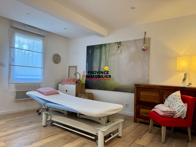 Bel appartement T3 usage mixte