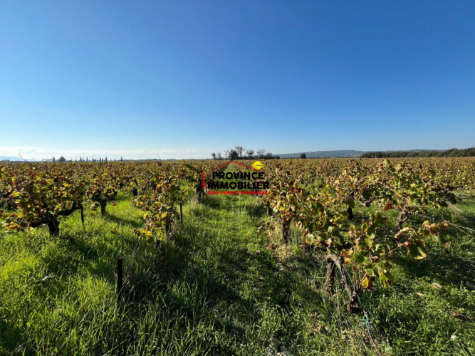 En campagne avec vue dégagée sur les vignes et fort potentiel