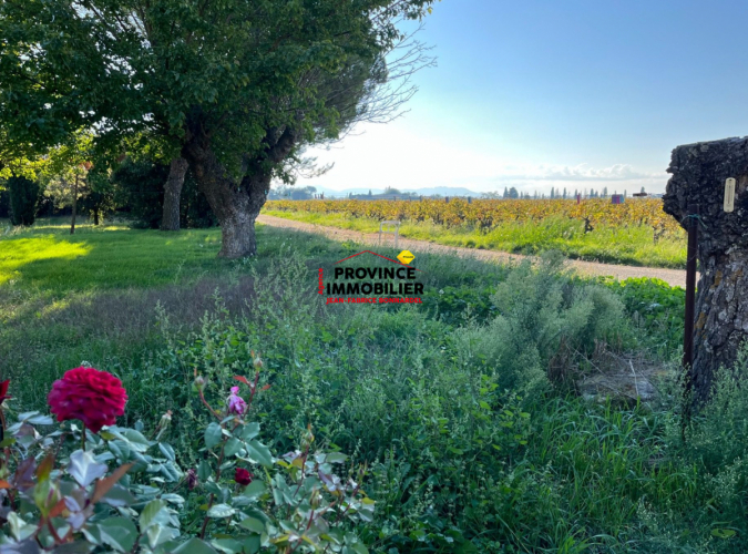 En campagne avec vue dégagée sur les vignes et fort potentiel