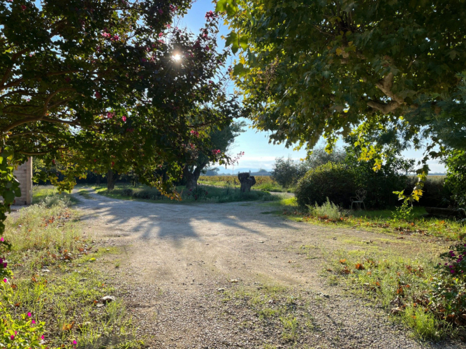 En campagne avec vue dégagée sur les vignes et fort potentiel