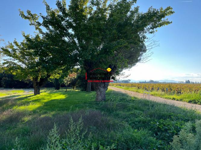 En campagne avec vue dégagée sur les vignes et fort potentiel