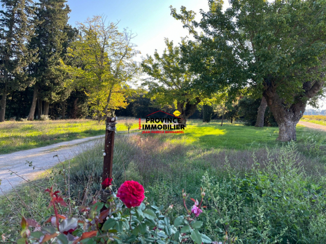 En campagne avec vue dégagée sur les vignes et fort potentiel