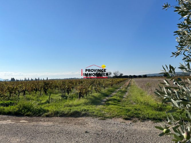 En campagne avec vue dégagée sur les vignes et fort potentiel