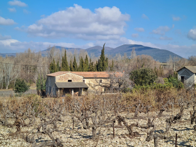 Ferme typiquement provençale avec grand terrain