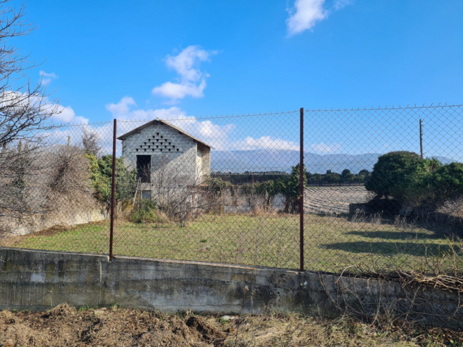 Ferme typiquement provençale avec grand terrain