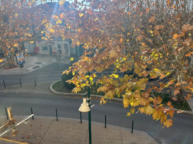 Appartement T3 Coeur de ville