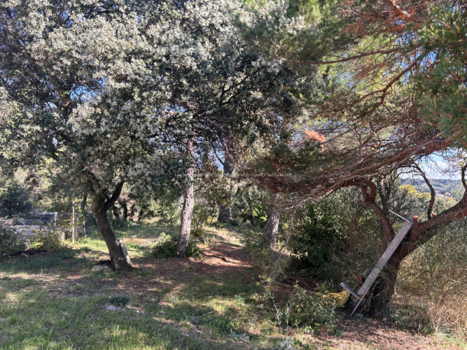 En campagne avec vue dominante