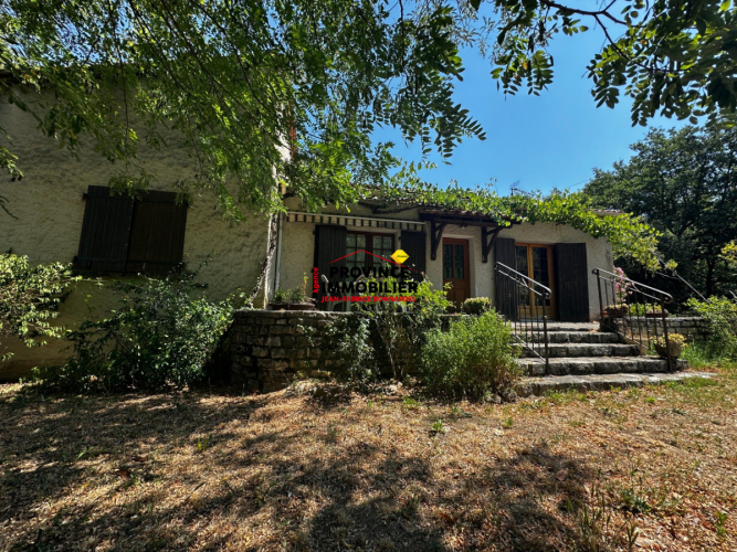 Villa avec grand terrain