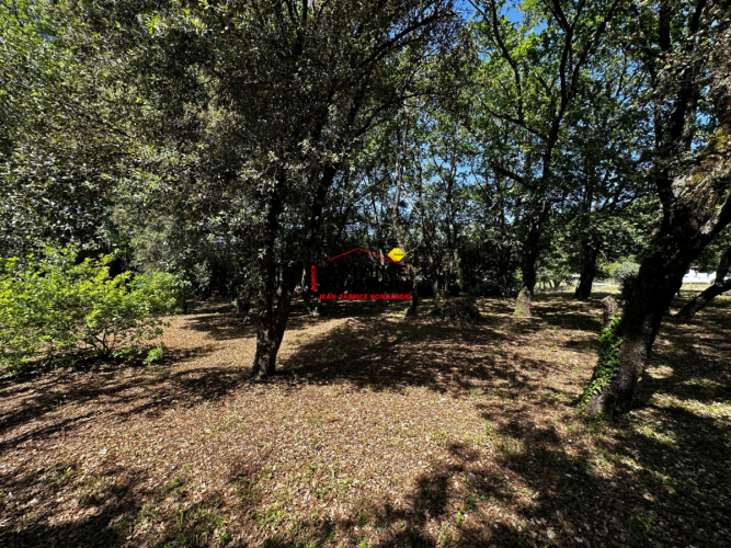 Villa avec grand terrain