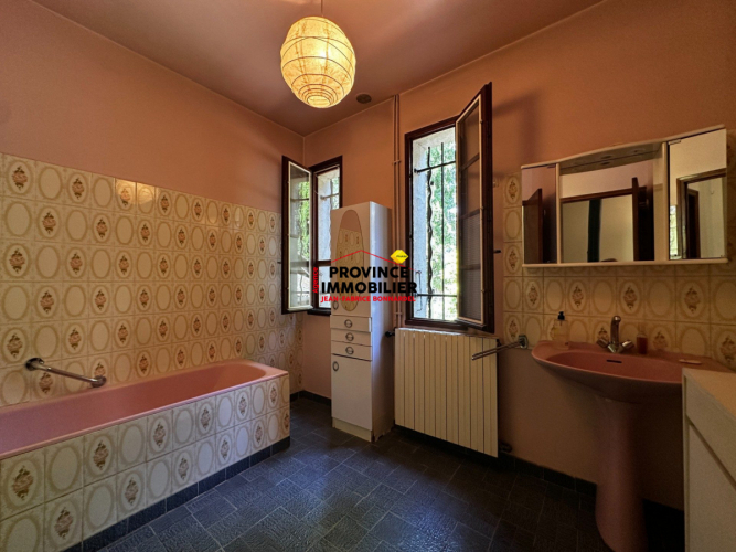 Villa avec grand terrain