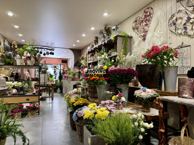 Fonds de commerce au coeur du village