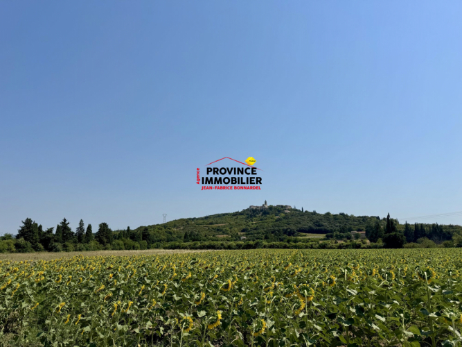 Magnifique maison de campagne