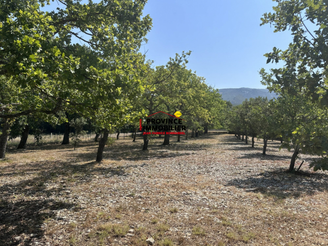 Magnifique Villa de standing sur grand terrain
