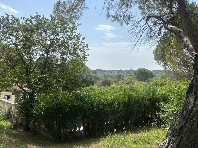 Dans magnifique environnement privilégié