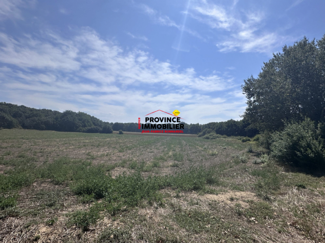 Très bel emplacment aux abords du village