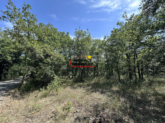 Très bel emplacment aux abords du village