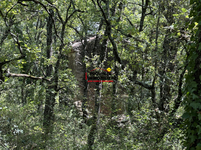 Très bel emplacment aux abords du village