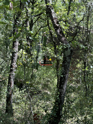 Très bel emplacment aux abords du village