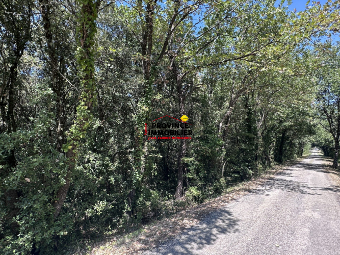Très bel emplacment aux abords du village