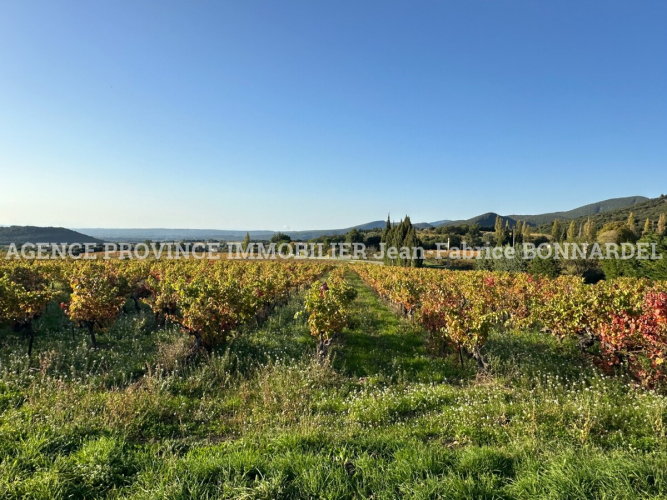 Villa rénovée avec goût en bordure de village