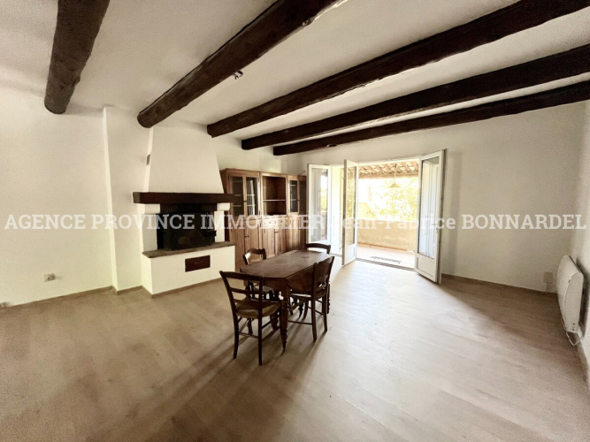 Maison de village avec jardin arboré et garage