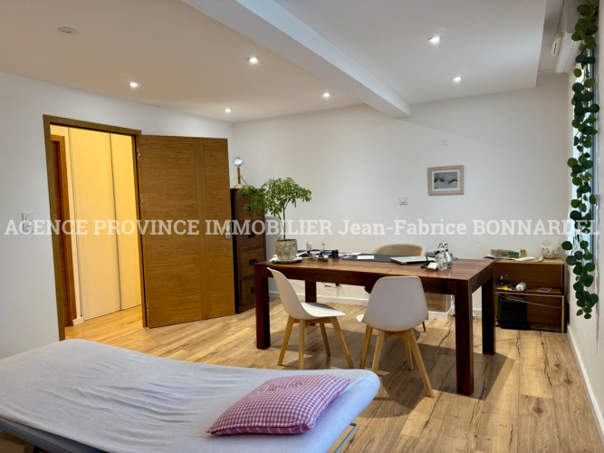 Bel appartement T3 usage mixte