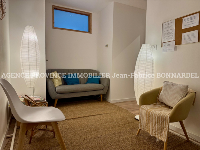 Bel appartement T3 usage mixte