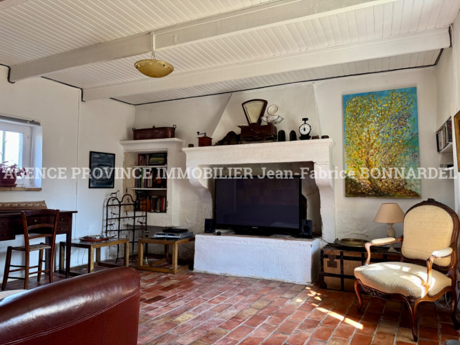 Magnifique propriété provençale