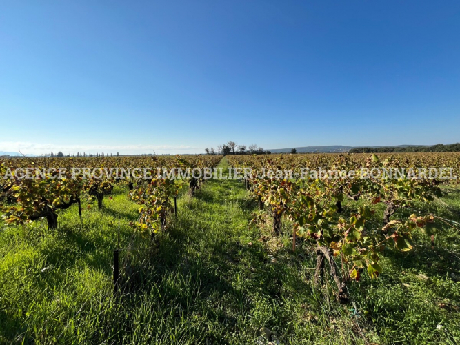 En campagne avec vue dégagée sur les vignes et fort potentiel