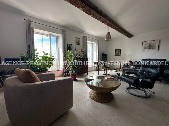 Lumineux Appartement, coeur de village
