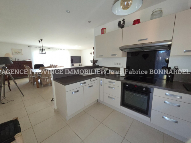 Villa Provençale proche centre village