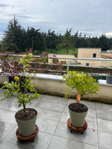 Appartement T2 Meublé