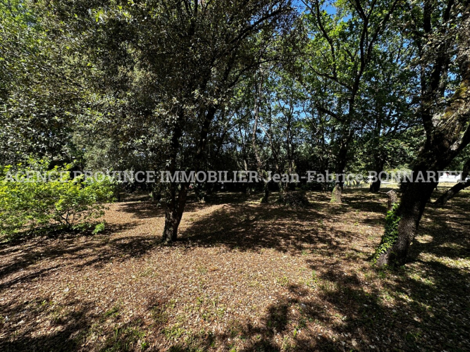 Villa avec grand terrain